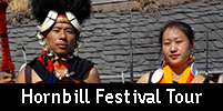 Hornbill Festival Tour