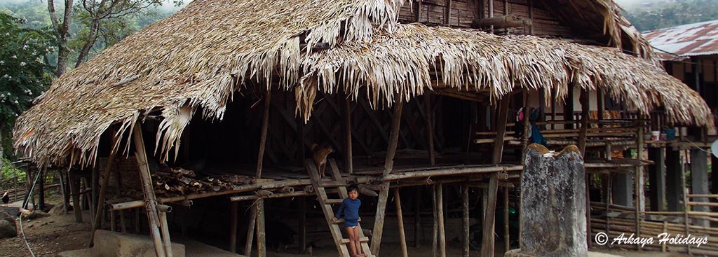 Stilt House