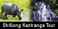 Shillong Kaziranga Tour