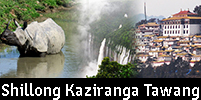 Shillong Kaziranga Tawang Tour