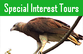 Birding Tours