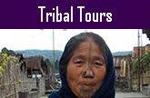 Tribal Tours